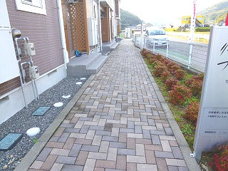 リーパ・フルーミニスのその他