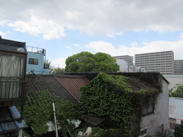 ノーサレンダーの展望|ノーサレンダー