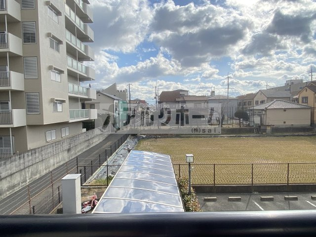 グリーンコートの展望