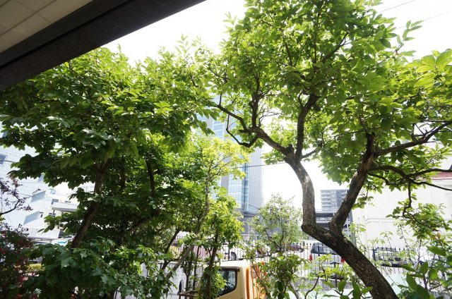 【展望】 | 万代リリーハイツ