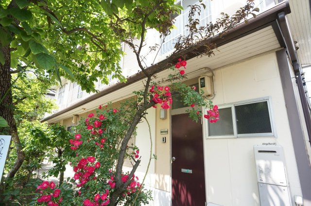 【外観】 | 万代リリーハイツ