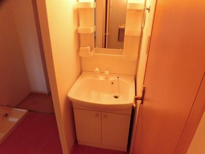 ハウスセゾン四条通の独立洗面台|シャンプードレッサー