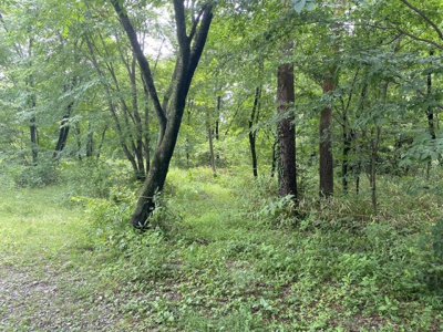 【外観】 | 那須塩原市塩野崎17100万円の土地