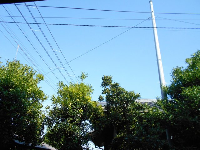 シュロスT・Yの展望