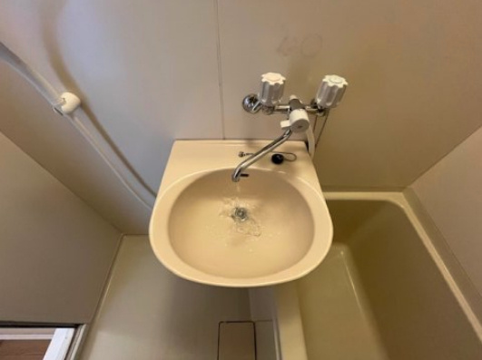 ブルーマカロン汐ノ宮の洗面所