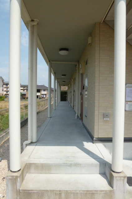 メゾンドルーラルⅡ【キャッシュバック対象物件】のエントランス|清潔なエントランスです