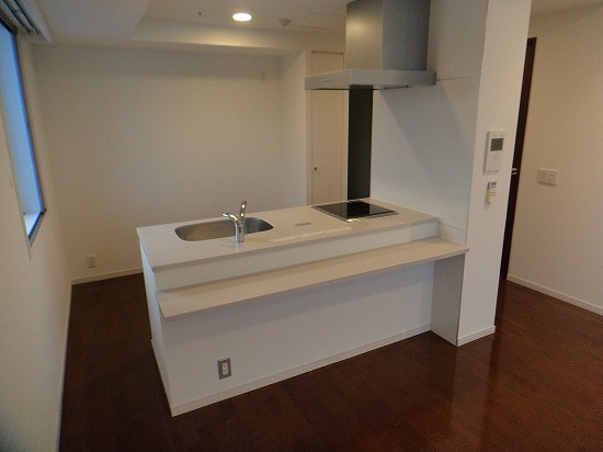 プライムメゾン大通公園のキッチン