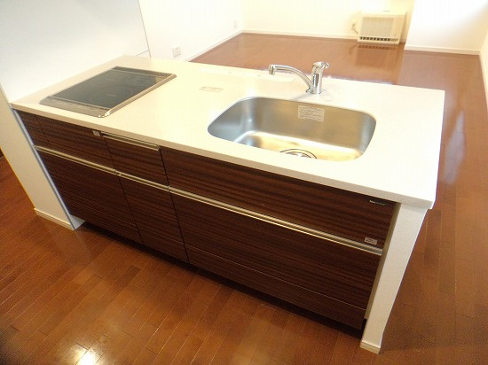 プライムメゾン大通公園のキッチン