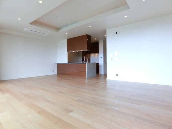 千代田区三番町の賃貸マンションの居間・リビング