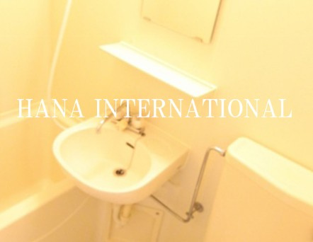 ジョイフル浦安の洗面所