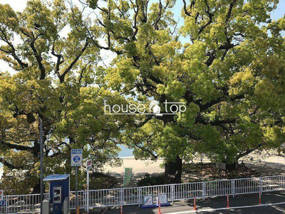 【展望】 | メインステージ武庫川 | メインステージ武庫川