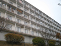 中山五月台住宅　15号棟の画像