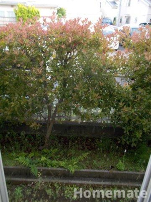 【展望】 | シャルムC