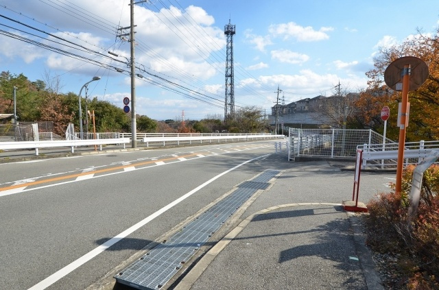 前面道路