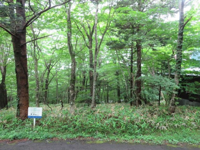  | 那須町高久乙52万円の土地