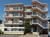 シャルマンふきの画像