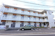 レオネクストユーカリの画像