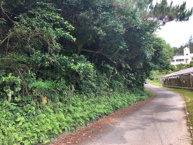 恩納村字安富祖(5073.22坪)の画像