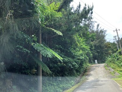  | 恩納村字安富祖(5073.22坪)