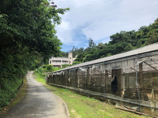  | 恩納村字安富祖(5073.22坪)