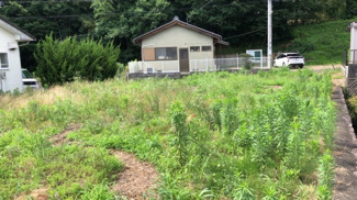 【展望】 | 南側より撮影