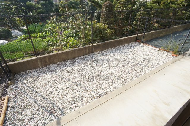 シャルムオーリンⅠの庭