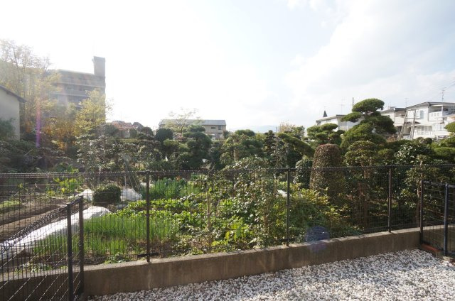 シャルムオーリンⅠの展望