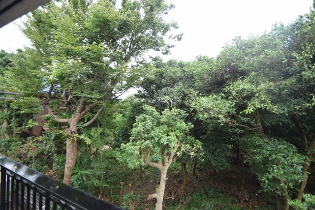 アルカディアの周辺|緑がきれいです