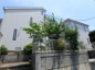エクセレンス花水木の画像