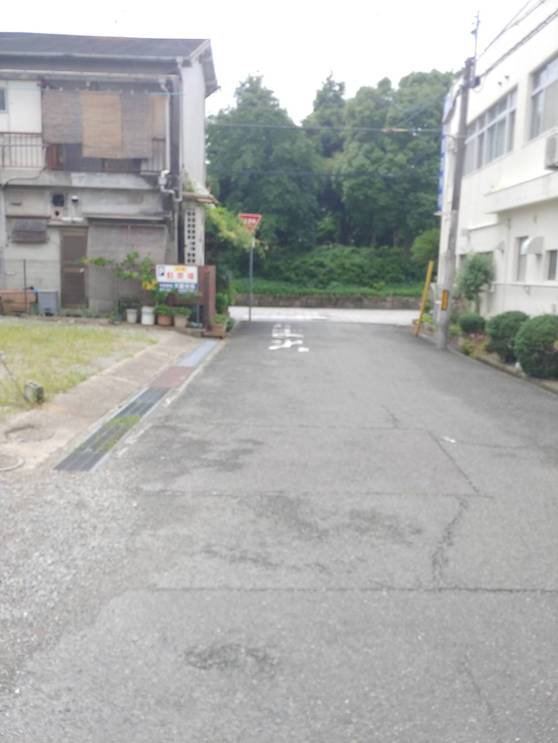 上坂部3丁目貸土地の周辺|前面道路　南向き