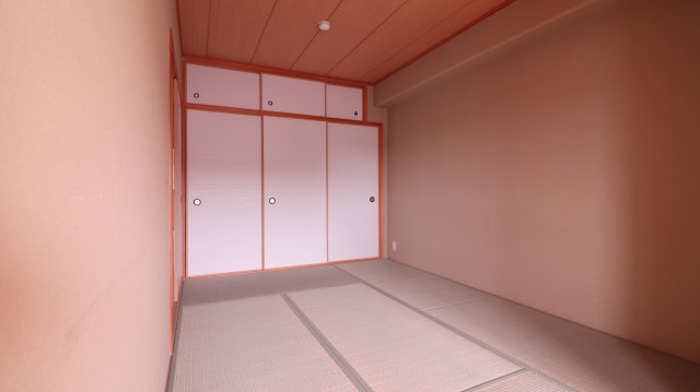 シャンティー舞子のその他