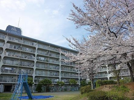 鶴見スカイハイツ（鶴見区元宮1丁目）の外観|外観です　鶴見スカイハイツ　京急本線「鶴見市場」駅徒歩9分　3LDK　ペット飼育可能の物件　昭和53年7月築　新規リノベーション物件　