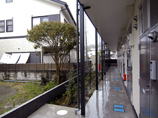 【エントランス】 | フォレストⅡ