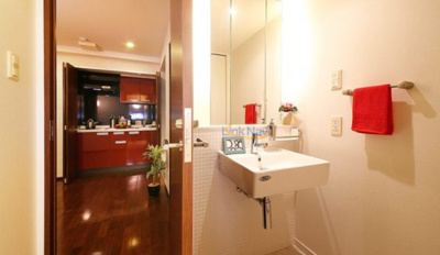 【独立洗面台】 | パークヴィレッジ南堀江