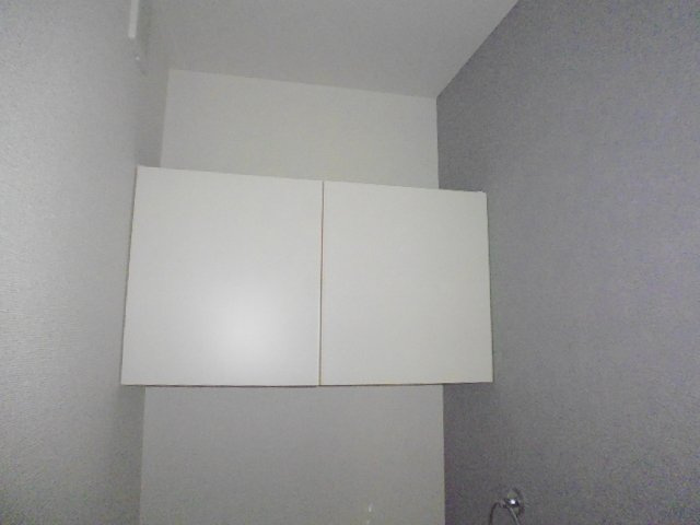 ディリジェントファイブＣのその他