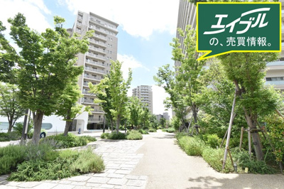 【外観】 | ミリカ・テラスⅡ街区 | 敷地内は緑あふれる環境です。