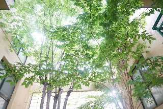 熊本市中央区帯山３丁目の賃貸マンションのその他共用部分