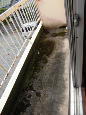 【バルコニー】 | コーポ今福