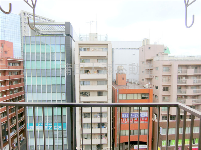 ドミール蒲田の展望|展望