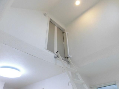 【その他】 | ライム