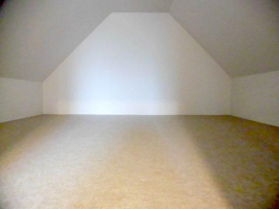 【その他】 | ライム