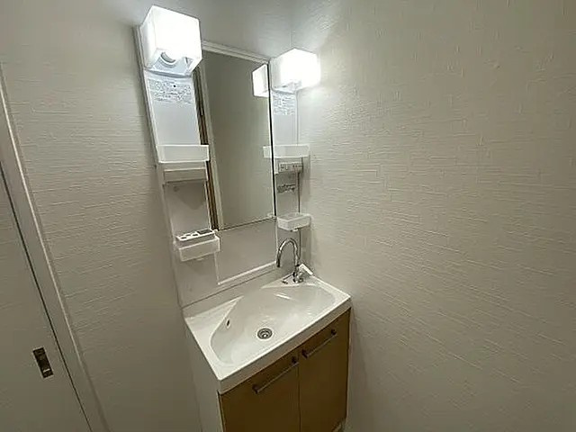 フリックコート三宮の洗面所