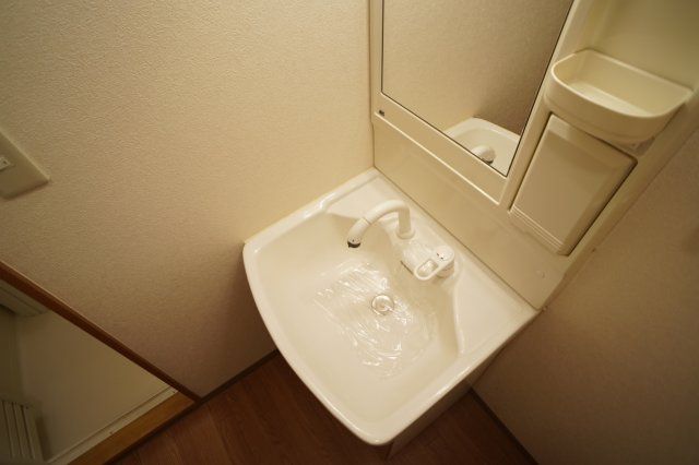 フラワーハイツ龍ヶ崎の独立洗面台