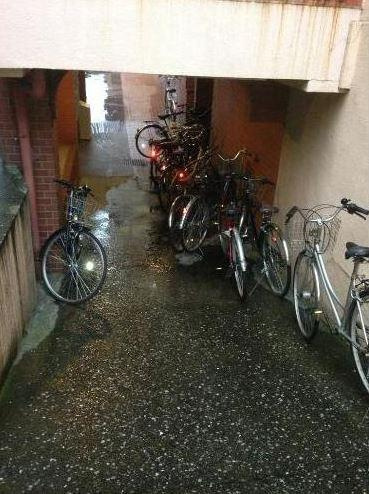 メゾン・ド・モナークのその他共用部分|メゾン・ド・モナーク