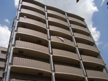 アルプス西梅田の画像