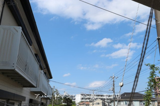 【展望】