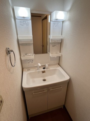ハイツカリエンテの洗面所