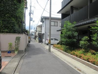 PATIO de.神泉苑（パティオデ神泉苑）の周辺|前面道路