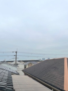 【展望】 | バスキア