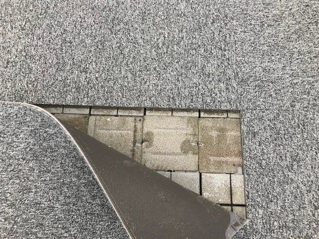 南青山ヒルズの庭